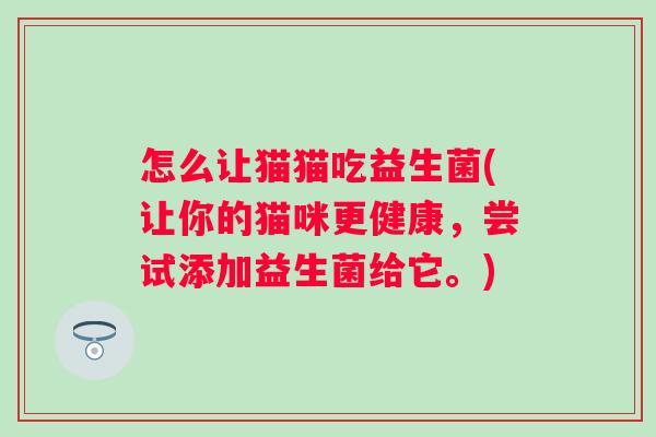 怎么让猫猫吃益生菌(让你的猫咪更健康，尝试添加益生菌给它。)