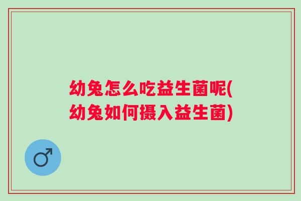 幼兔怎么吃益生菌呢(幼兔如何摄入益生菌)