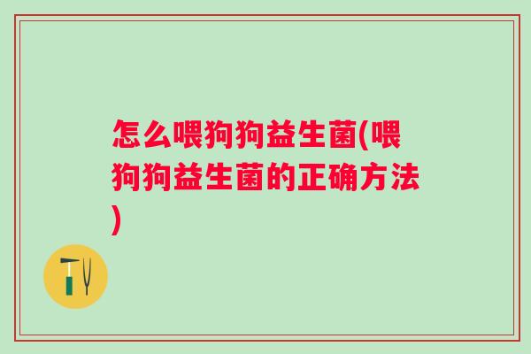 怎么喂狗狗益生菌(喂狗狗益生菌的正确方法)