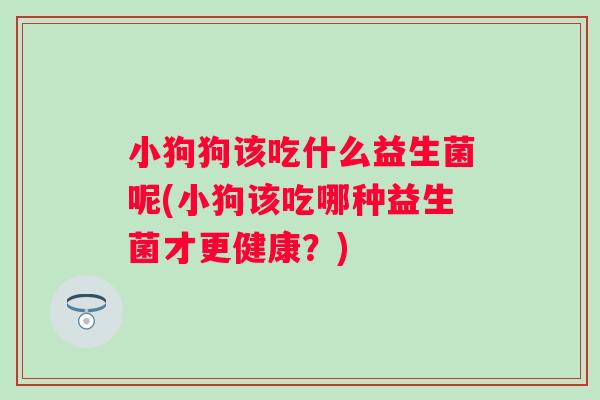 小狗狗该吃什么益生菌呢(小狗该吃哪种益生菌才更健康？)