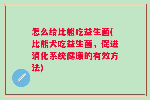 怎么给比熊吃益生菌(比熊犬吃益生菌，促进消化系统健康的有效方法)