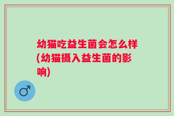 幼猫吃益生菌会怎么样(幼猫摄入益生菌的影响)