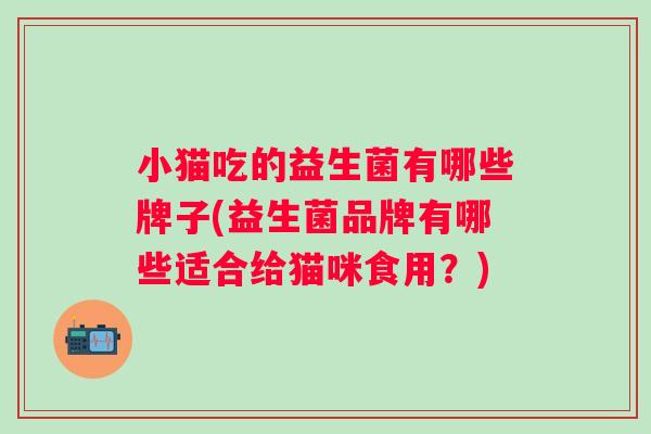 小猫吃的益生菌有哪些牌子(益生菌品牌有哪些适合给猫咪食用？)