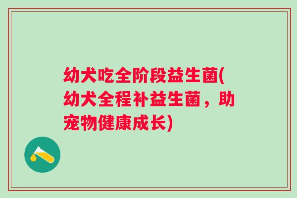 幼犬吃全阶段益生菌(幼犬全程补益生菌,助宠物健康成长) 幼犬吃全阶段益生菌(幼犬全程补益生菌,助宠物健康成长)