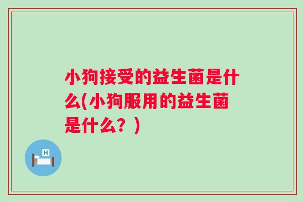 小狗接受的益生菌是什么(小狗服用的益生菌是什么?) 小狗接受的益生菌是什么(小狗服用的益生菌是什么?)