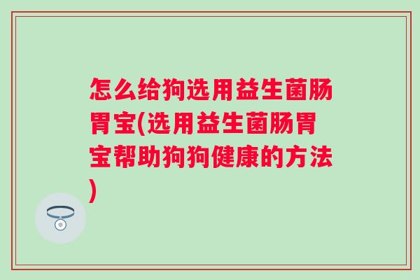 怎么给狗选用益生菌肠胃宝(选用益生菌肠胃宝帮助狗狗健康的方法) 怎么给狗选用益生菌肠胃宝(选用益生菌肠胃宝帮助狗狗健康的方法)