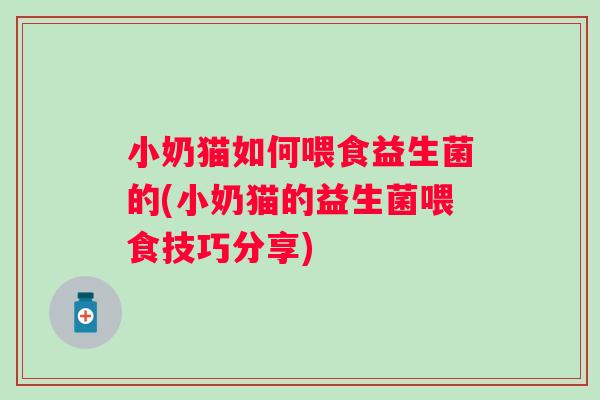 小奶猫如何喂食益生菌的(小奶猫的益生菌喂食技巧分享)