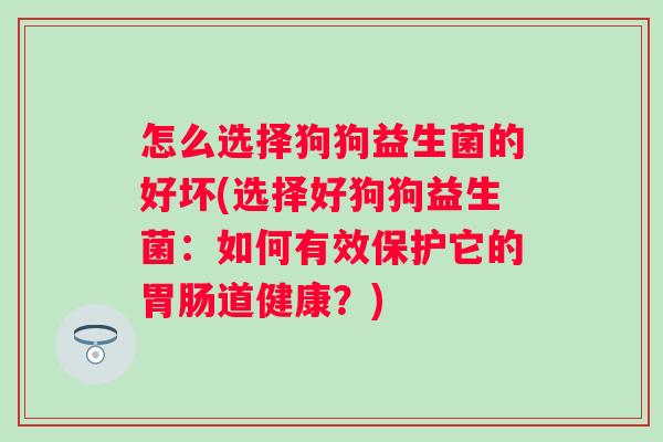 怎么选择狗狗益生菌的好坏(选择好狗狗益生菌:如何有效保护它的道健康?) 怎么选择狗狗益生菌的好坏(选择好狗狗益生菌:如何有效保护它的道健康?)