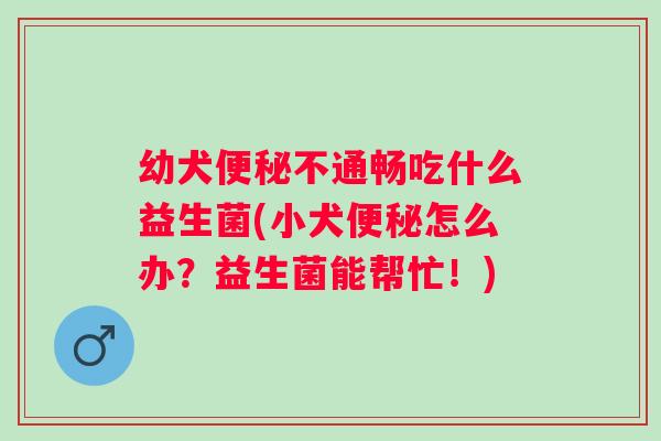 幼犬便秘不通畅吃什么益生菌(小犬便秘怎么办？益生菌能帮忙！)
