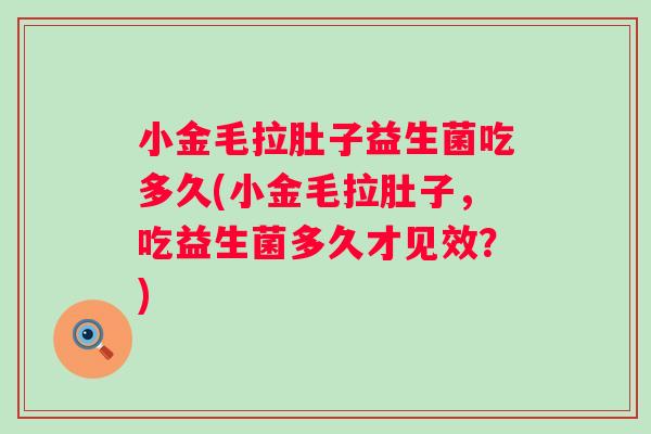 小金毛拉肚子益生菌吃多久(小金毛拉肚子，吃益生菌多久才见效？)