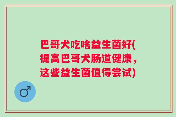 巴哥犬吃啥益生菌好(提高巴哥犬肠道健康,这些益生菌值得尝试) 巴哥犬吃啥益生菌好(提高巴哥犬肠道健康,这些益生菌值得尝试)