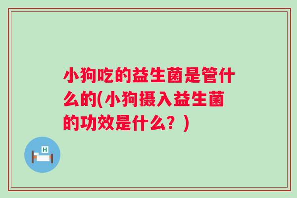 小狗吃的益生菌是管什么的(小狗摄入益生菌的功效是什么?) 小狗吃的益生菌是管什么的(小狗摄入益生菌的功效是什么?)