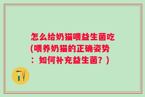 怎么给奶猫喂益生菌吃(喂养奶猫的正确姿势：如何补充益生菌？)