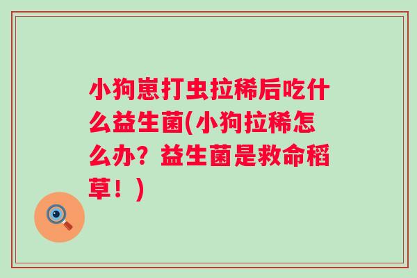 小狗崽打虫拉稀后吃什么益生菌(小狗拉稀怎么办?益生菌是救命稻草!) 小狗崽打虫拉稀后吃什么益生菌(小狗拉稀怎么办?益生菌是救命稻草!)