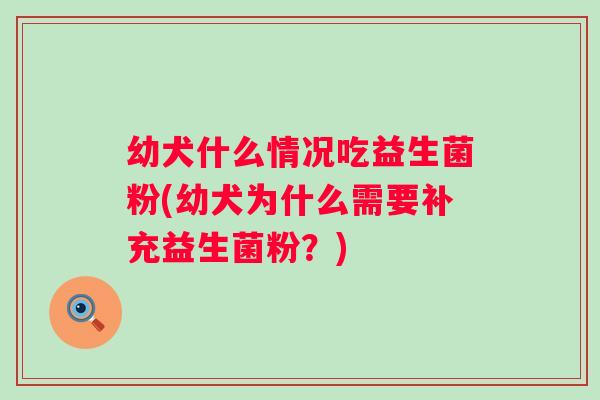 幼犬什么情况吃益生菌粉(幼犬为什么需要补充益生菌粉？)
