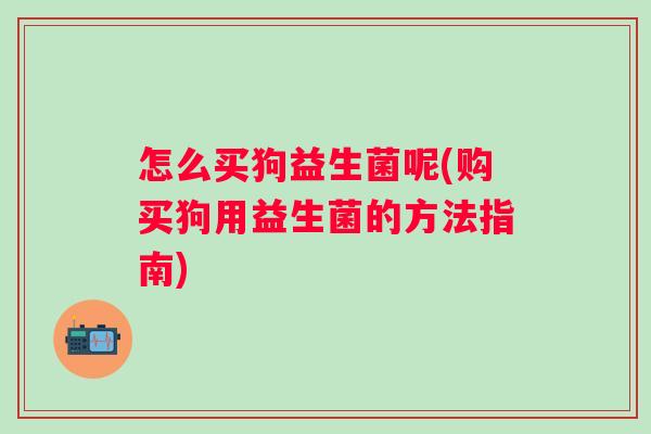 怎么买狗益生菌呢(购买狗用益生菌的方法指南)