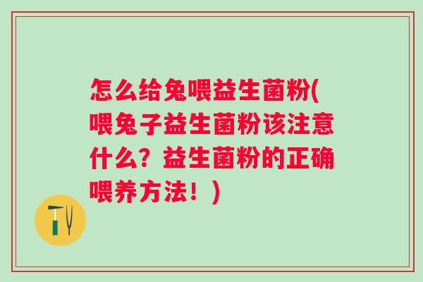 怎么给兔喂益生菌粉(喂兔子益生菌粉该注意什么?益生菌粉的正确喂养方法!) 怎么给兔喂益生菌粉(喂兔子益生菌粉该注意什么?益生菌粉的正确喂养方法!)