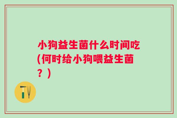 小狗益生菌什么时间吃(何时给小狗喂益生菌?) 小狗益生菌什么时间吃(何时给小狗喂益生菌?)