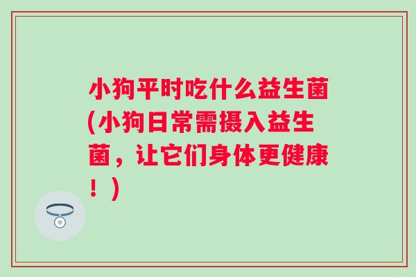 小狗平时吃什么益生菌(小狗日常需摄入益生菌,让它们身体更健康!) 小狗平时吃什么益生菌(小狗日常需摄入益生菌,让它们身体更健康!)