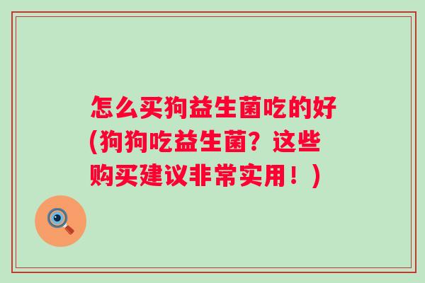 怎么买狗益生菌吃的好(狗狗吃益生菌？这些购买建议非常实用！)