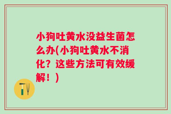 小狗吐黄水没益生菌怎么办(小狗吐黄水不消化？这些方法可有效缓解！)