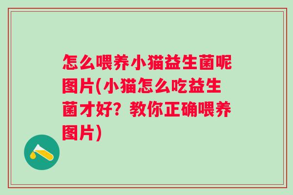 怎么喂养小猫益生菌呢图片(小猫怎么吃益生菌才好？教你正确喂养图片)