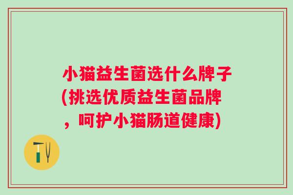 小猫益生菌选什么牌子(挑选优质益生菌品牌，呵护小猫肠道健康)