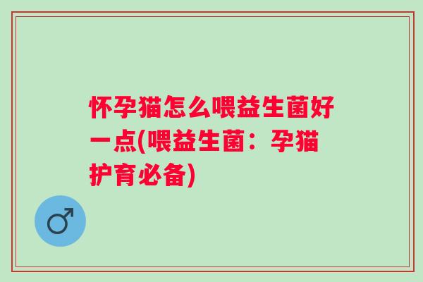 怀孕猫怎么喂益生菌好一点(喂益生菌:孕猫护育必备) 怀孕猫怎么喂益生菌好一点(喂益生菌:孕猫护育必备)