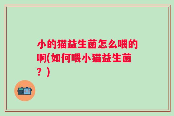 小的猫益生菌怎么喂的啊(如何喂小猫益生菌？)