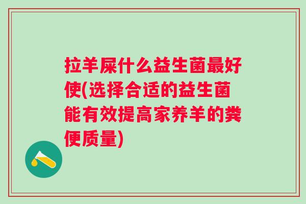 拉羊屎什么益生菌好使(选择合适的益生菌能有效提高家养羊的粪便质量) 拉羊屎什么益生菌好使(选择合适的益生菌能有效提高家养羊的粪便质量)