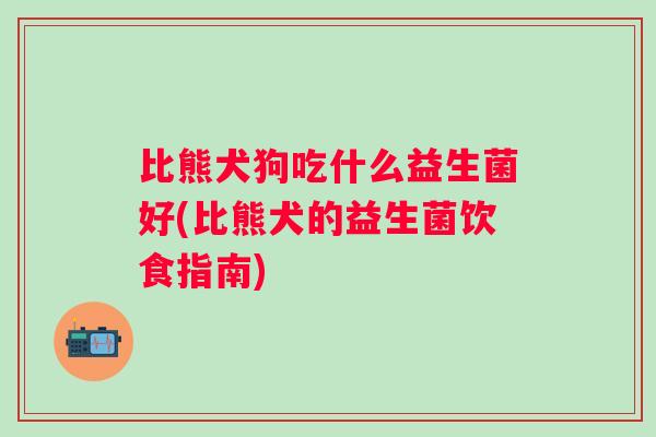 比熊犬狗吃什么益生菌好(比熊犬的益生菌饮食指南)