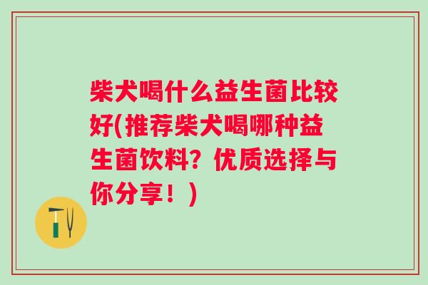 柴犬喝什么益生菌比较好(推荐柴犬喝哪种益生菌饮料？优质选择与你分享！)
