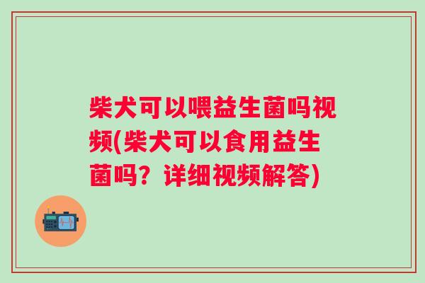 柴犬可以喂益生菌吗视频(柴犬可以食用益生菌吗？详细视频解答)