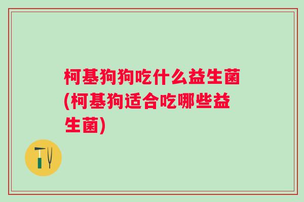 柯基狗狗吃什么益生菌(柯基狗适合吃哪些益生菌) 柯基狗狗吃什么益生菌(柯基狗适合吃哪些益生菌)