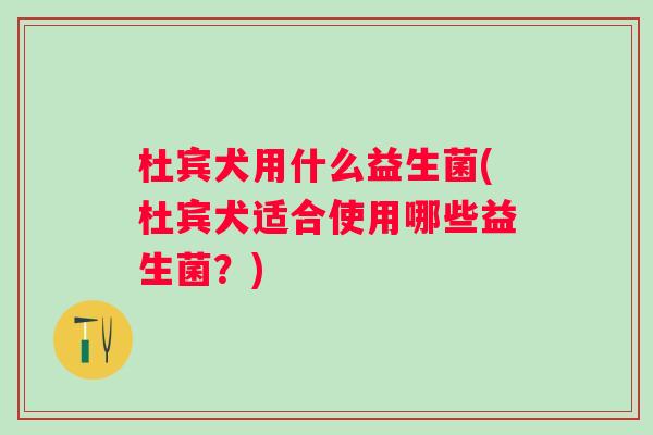 杜宾犬用什么益生菌(杜宾犬适合使用哪些益生菌？)