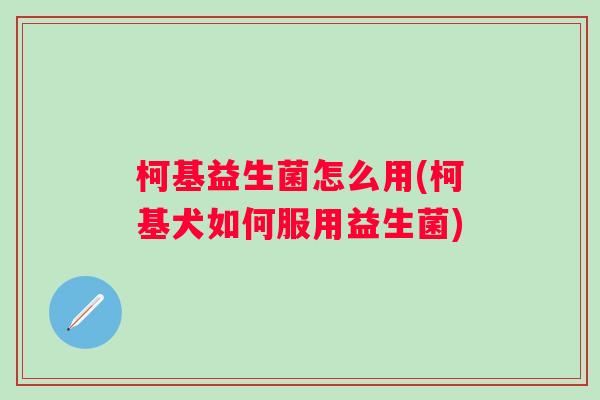 柯基益生菌怎么用(柯基犬如何服用益生菌)