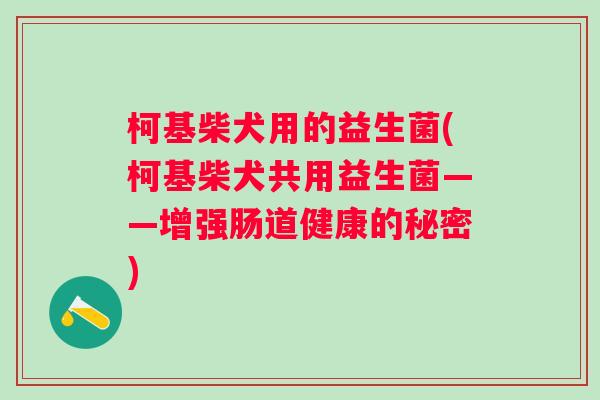柯基柴犬用的益生菌(柯基柴犬共用益生菌——增强肠道健康的秘密)