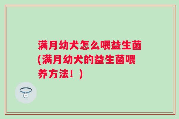 满月幼犬怎么喂益生菌(满月幼犬的益生菌喂养方法!) 满月幼犬怎么喂益生菌(满月幼犬的益生菌喂养方法!)