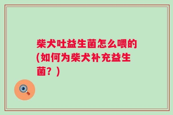 柴犬吐益生菌怎么喂的(如何为柴犬补充益生菌？)