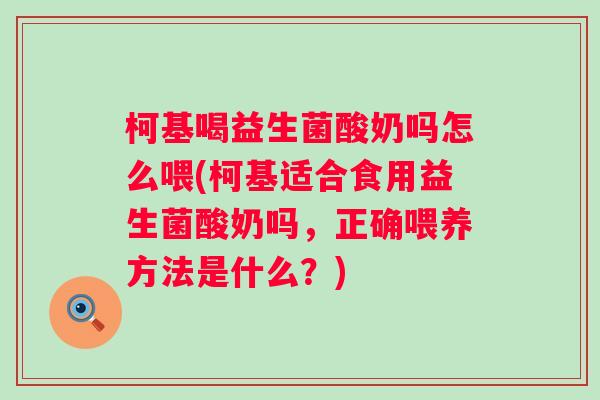 柯基喝益生菌酸奶吗怎么喂(柯基适合食用益生菌酸奶吗，正确喂养方法是什么？)