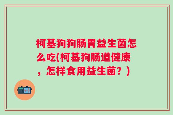 柯基狗狗肠胃益生菌怎么吃(柯基狗肠道健康，怎样食用益生菌？)