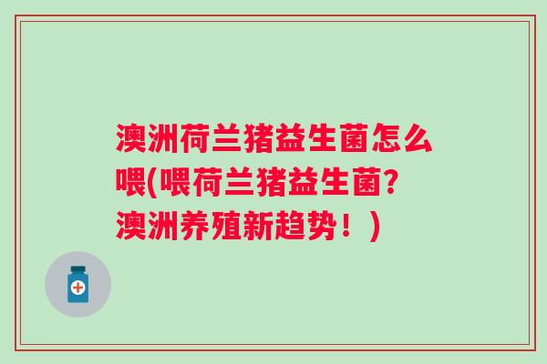 澳洲荷兰猪益生菌怎么喂(喂荷兰猪益生菌?澳洲养殖新趋势!) 澳洲荷兰猪益生菌怎么喂(喂荷兰猪益生菌?澳洲养殖新趋势!)