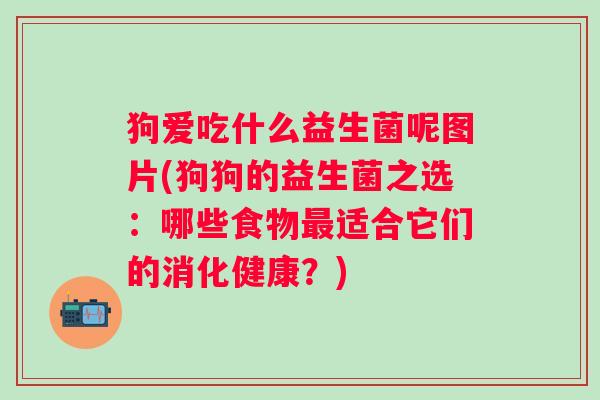 狗爱吃什么益生菌呢图片(狗狗的益生菌之选：哪些食物适合它们的消化健康？)