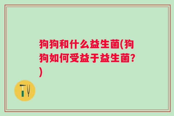 狗狗和什么益生菌(狗狗如何受益于益生菌？)