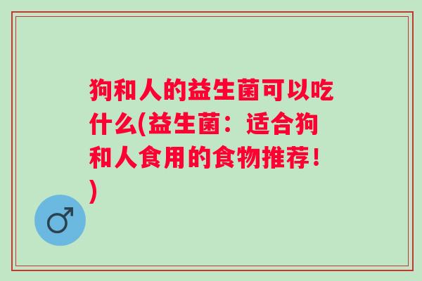 狗和人的益生菌可以吃什么(益生菌：适合狗和人食用的食物推荐！)