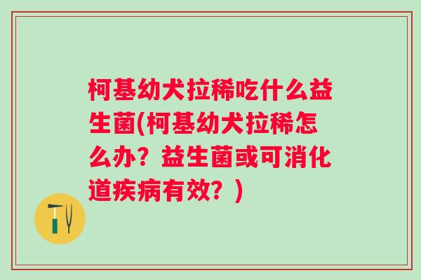 柯基幼犬拉稀吃什么益生菌(柯基幼犬拉稀怎么办？益生菌或可消化道有效？)