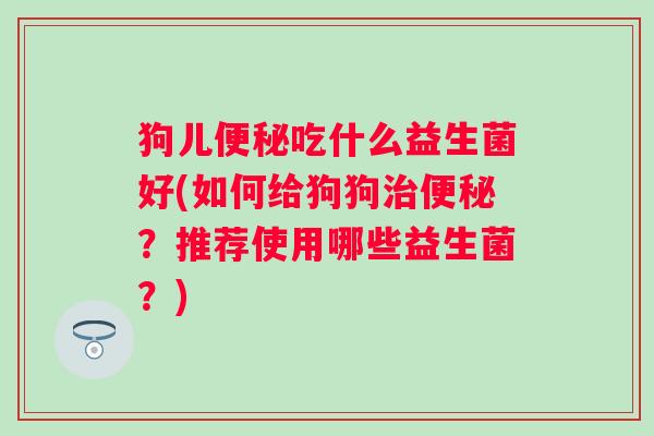 狗儿吃什么益生菌好(如何给狗狗？推荐使用哪些益生菌？)