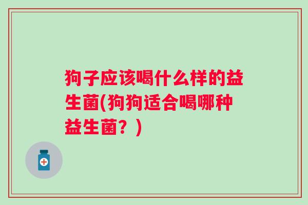 狗子应该喝什么样的益生菌(狗狗适合喝哪种益生菌?) 狗子应该喝什么样的益生菌(狗狗适合喝哪种益生菌?)