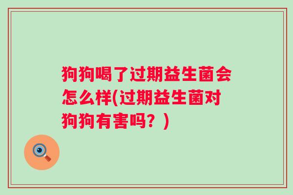 狗狗喝了过期益生菌会怎么样(过期益生菌对狗狗有害吗？)