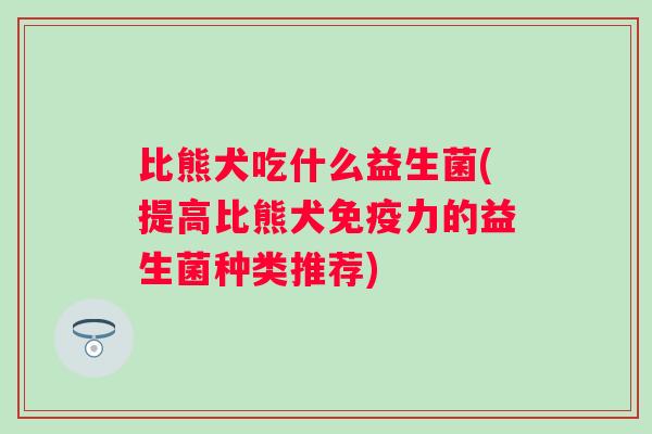 比熊犬吃什么益生菌(提高比熊犬力的益生菌种类推荐)
